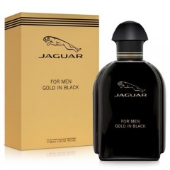 Jaguar 积架 捷豹皇室男性淡香水(100ml)