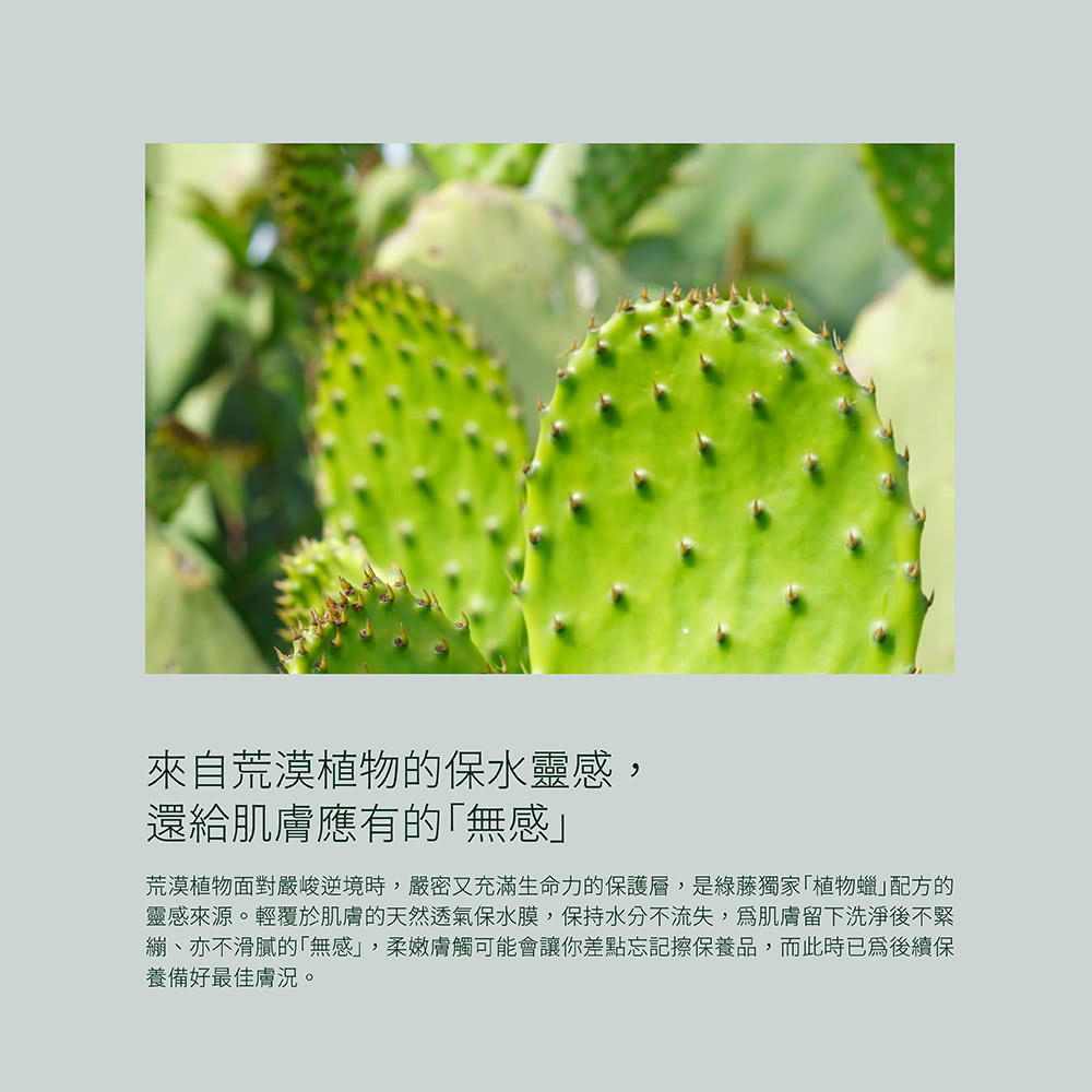/uploads/image/2022/06/22/31f3488f8f5f51bb0e6187b32d24364f.jpg 綠4.jpg
